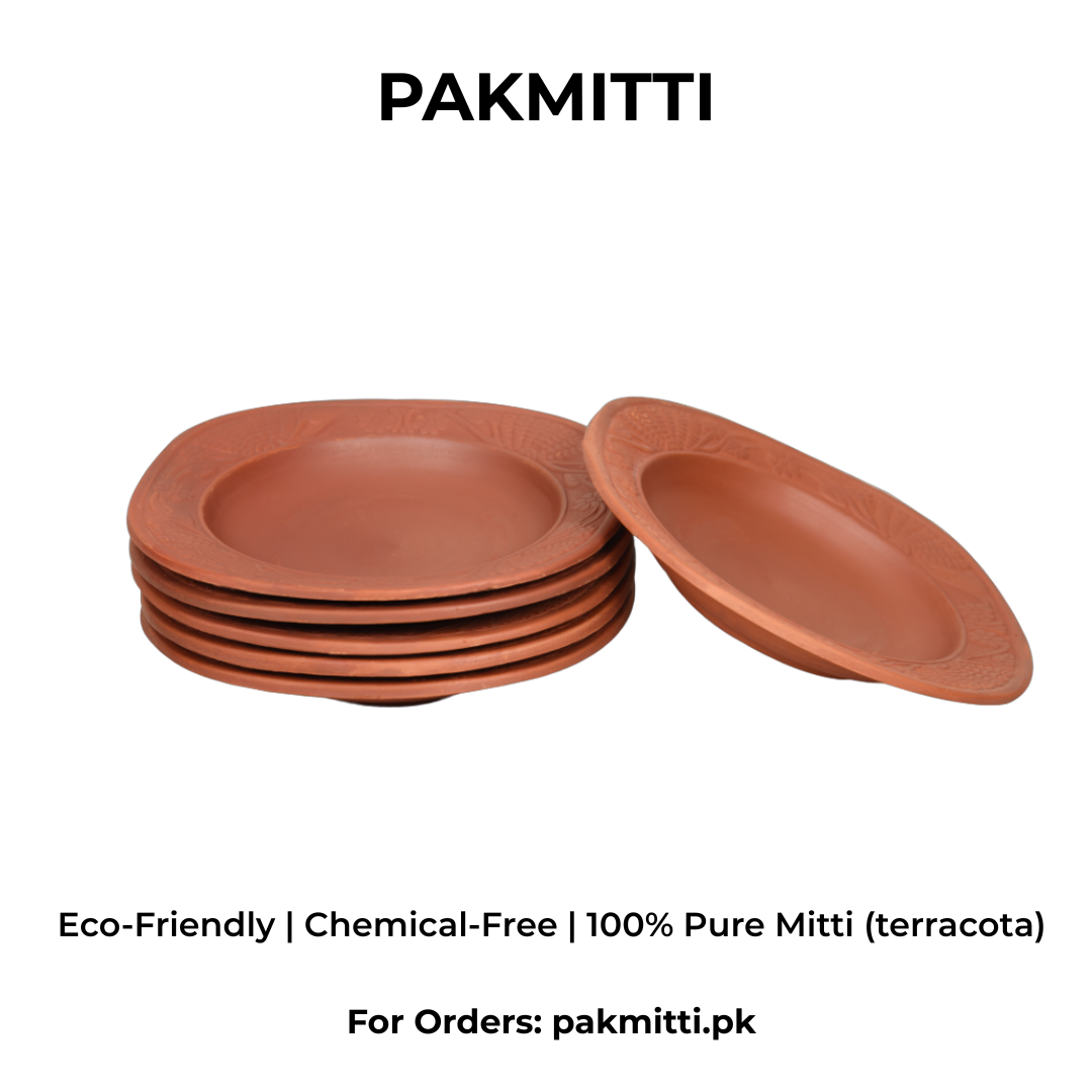 Clay dinner Plates