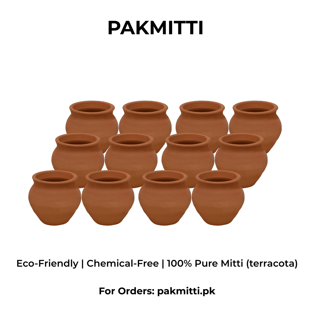 12 pieces Chai Cups Set 